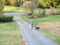 IMG_0051