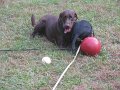 IMG_0048