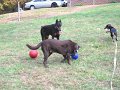 IMG_0049
