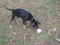 IMG_0050