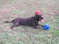 IMG_0051