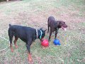 IMG_0053