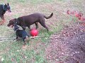 IMG_0055