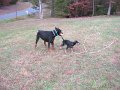 IMG_0058