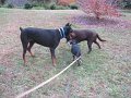 IMG_0059