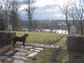 IMG_0089