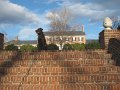 IMG_0098