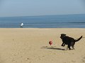 IMG_0014