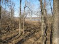 IMG_0086