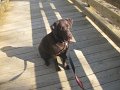 IMG_0088