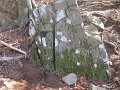 IMG_0098