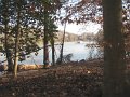 IMG_0099