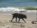 IMG_0070