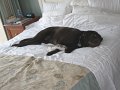 IMG_0087
