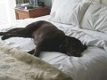 IMG_0127