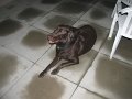 IMG_0151
