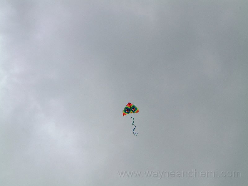 DSCF0495.JPG