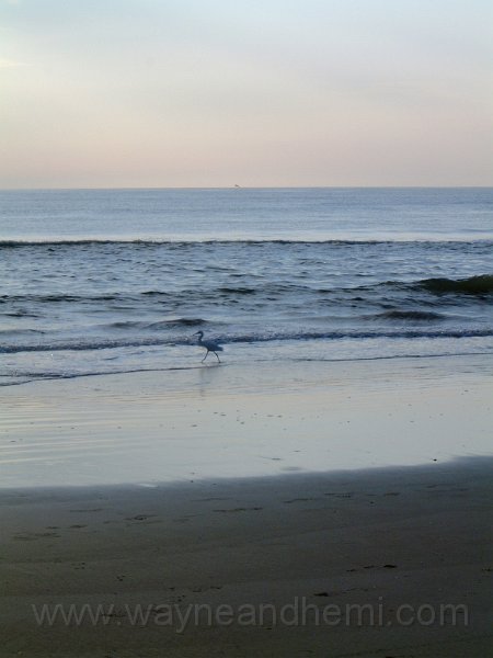 DSCF0565.JPG