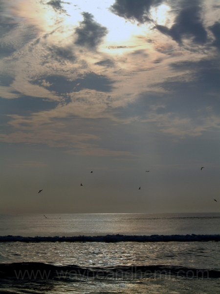 DSCF0570.JPG