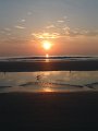 DSCF0559