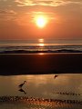 DSCF0560