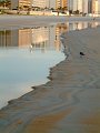 DSCF0563