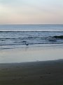 DSCF0565