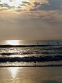 DSCF0566
