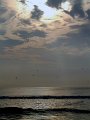 DSCF0570