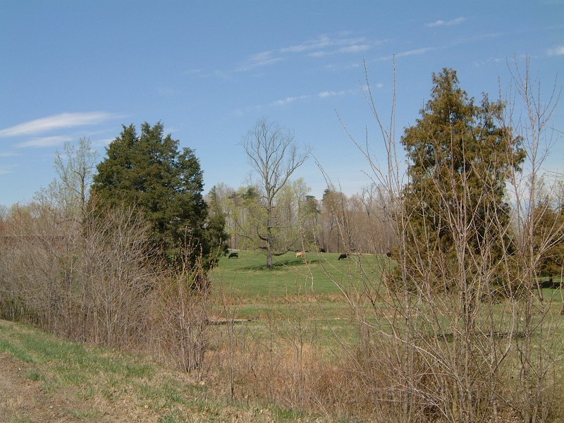 DSCF0714.JPG