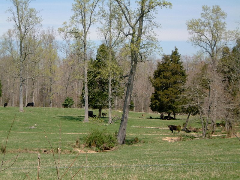 DSCF0715.JPG