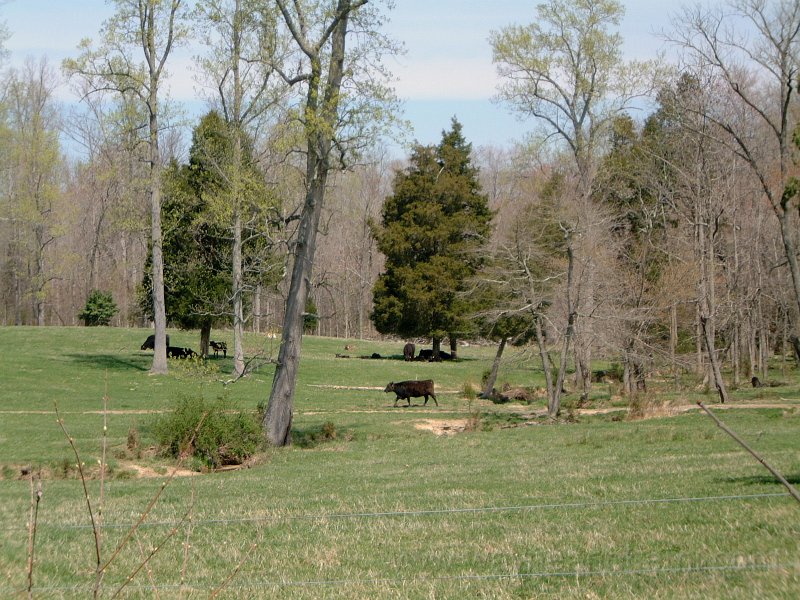 DSCF0716.JPG