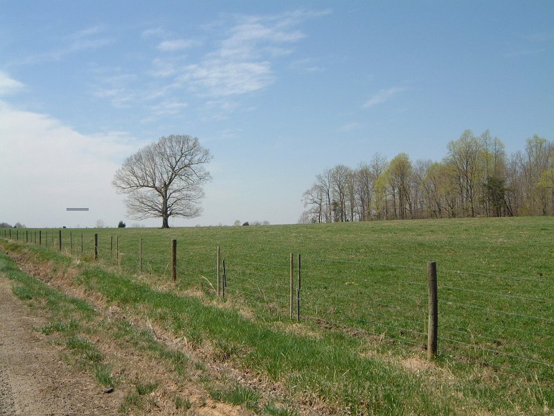 DSCF0717.JPG