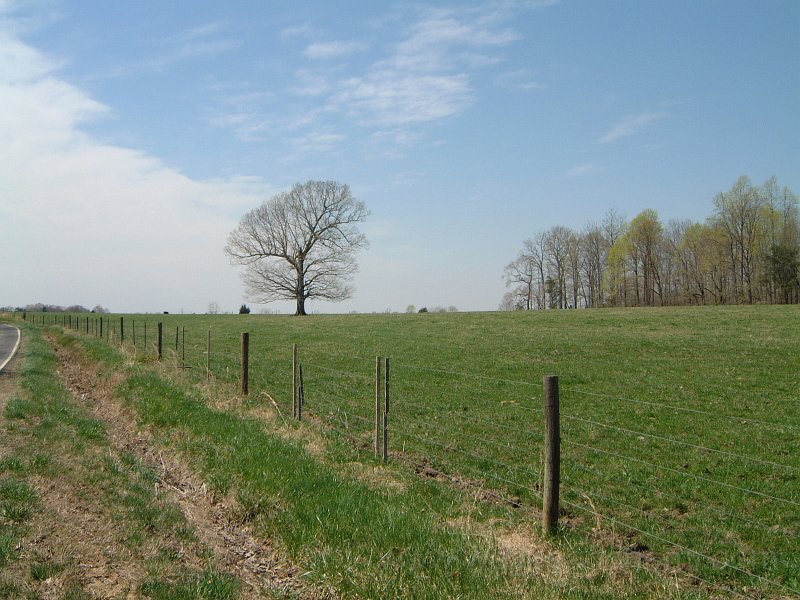 DSCF0718.JPG