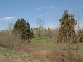 DSCF0714