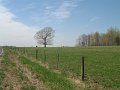 DSCF0718