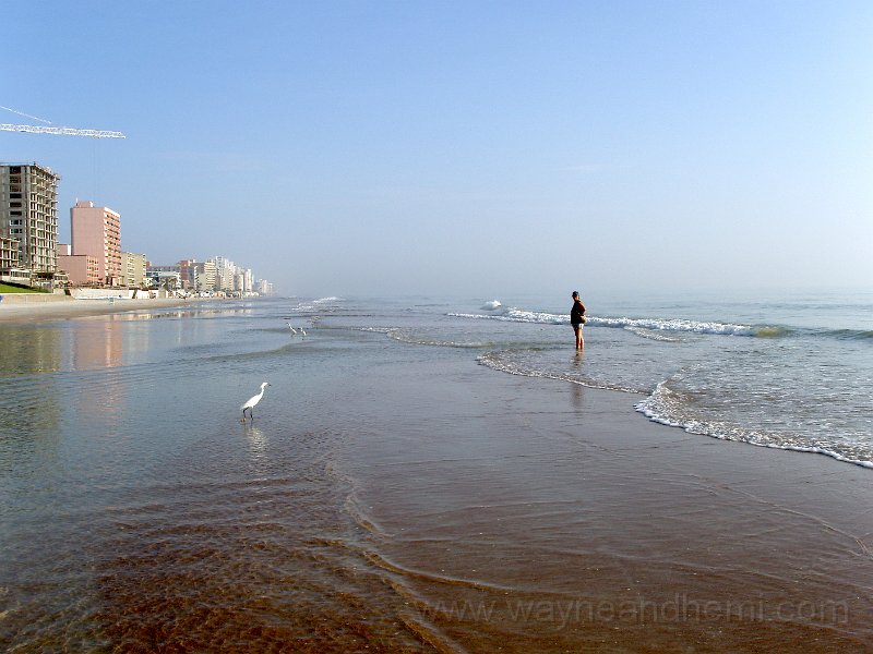 P7050034.JPG