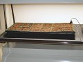 P1070026
