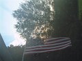 DSCF1984