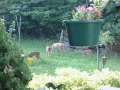 DSCF1998