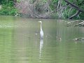 IMG_0188