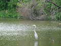 IMG_0189