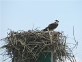 IMG_0193