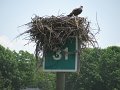 IMG_0194