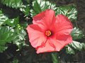 IMG_0550