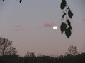 IMG_0061