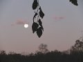 IMG_0062