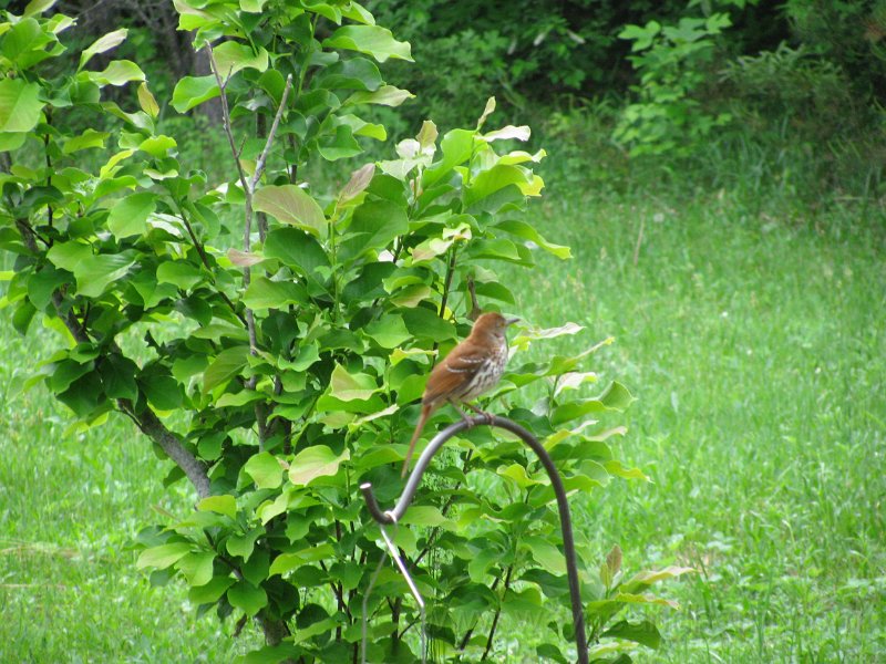 IMG_0027.JPG