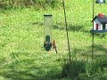 IMG_0030