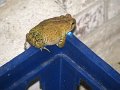 IMG_0007